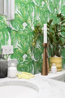 Ενυδρείο στον τοίχο του μπάνιου