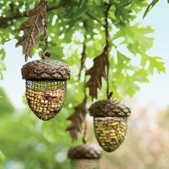 Τροφοδότης ορνιθών πουλιών