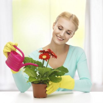 Πότισμα εσωτερικών λουλουδιών με μεταλλικό νερό