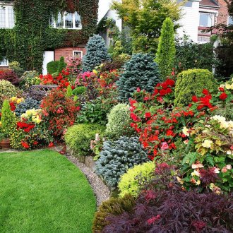 Λουλούδι κρεβάτι με αειθαλές