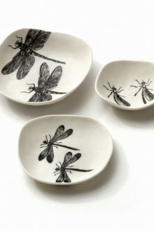 Σχέδιο Dragonfly στα πιάτα
