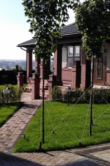 Φύτευση ενός παραδοσιακού κήπου