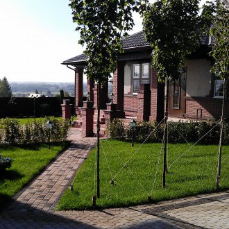 Φύτευση δέντρων στον κήπο