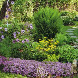 Πολυετές πολυεστέρας