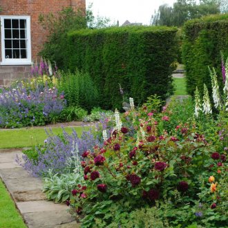 Mixborder από παγωμένα φυτά