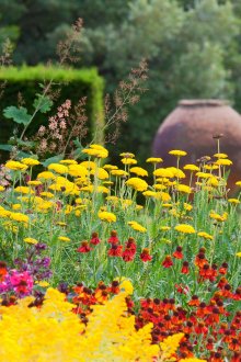 Ετήσιο φυτικό μίγμα