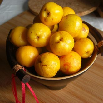 Φρούτα της Ιαπωνίας κυδώνι
