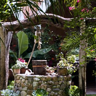 Λοιπόν με εξωτικά φυτά