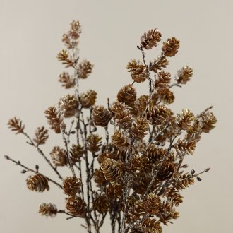 Δέντρο με κώνοι στο εσωτερικό