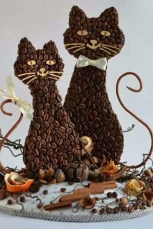 Καφές γάτες