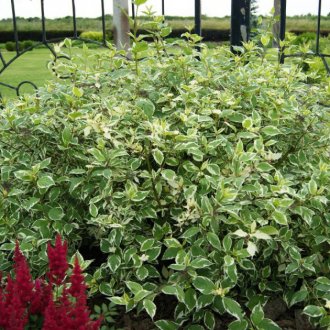 Περίπου Φροντίδα