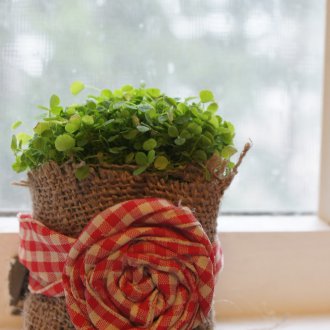 Γλάστρες λουλουδιών