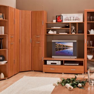 Γωνιακό τοίχο με καρυδιά στο καθιστικό