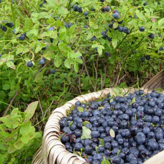Γαλάκτωμα φροντίδας