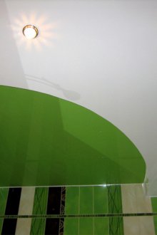 Πράσινη οροφή στο μπάνιο