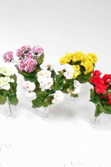 Αγαπάθου στα λευκά δοχεία