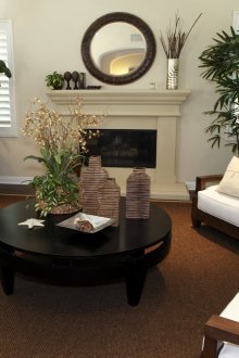 Καθιστικό διακοσμημένο με διάφορα ζωντανά φυτά.