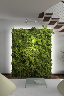 Διακοσμητικό πάνελ με ζωντανά φυτά στο σαλόνι