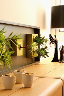 Ασυνήθιστη διάταξη φυτών στον τοίχο