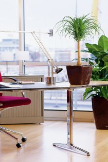 Εσωτερικό ενός γραφείου με ζωντανά φυτά