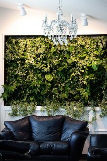 Κομψό μεγάλο πάνελ με ζωντανά φυτά στο εσωτερικό του καθιστικού