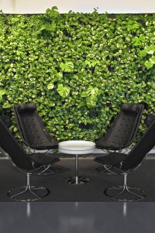 Τείχος με ζωντανά φυτά στο χώρο εργασίας