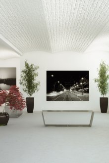 Εκθεσιακός χώρος με ζωντανά φυτά εσωτερικού χώρου