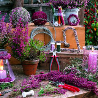 Heather σε μια διακόσμηση