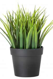 Τεχνητό γρασίδι σε μια κατσαρόλα για διακόσμηση διαμερισμάτων