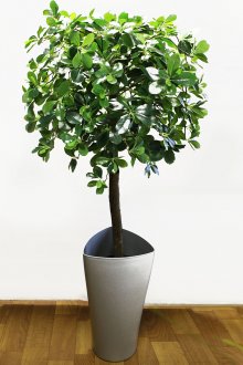 Γλάστρες ψηλή τεχνητή φυτό