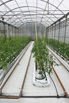 Θέρμανση του θερμοκηπίου