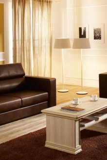 Λακαρισμένο καναπέ οικολογικού δέρματος