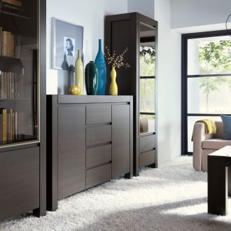 Ράφι wenge στο σαλόνι