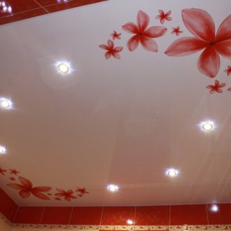 Κόκκινη οροφή με μοτίβο