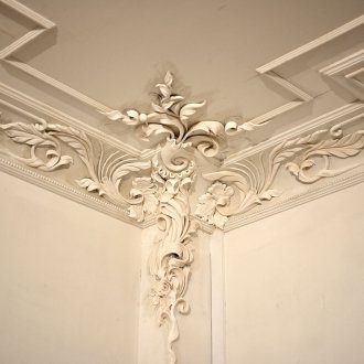 Στρουθοκαμήλες στην οροφή