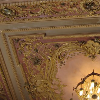 Στρουθοκαμήλα με επιχρύσωση στην οροφή