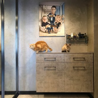 Συρταριέρα στην είσοδο