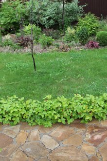 Όμορφο μονοπάτι στον κήπο