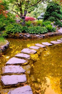 Πέτρινο μονοπάτι κήπου κατά μήκος της λίμνης