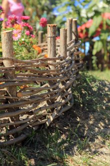 Κήπος φράχτη