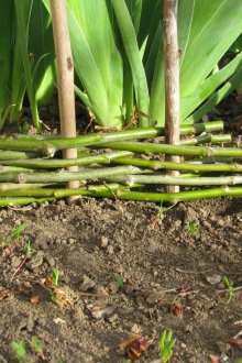 Πώς να ξεκινήσετε το καφέ