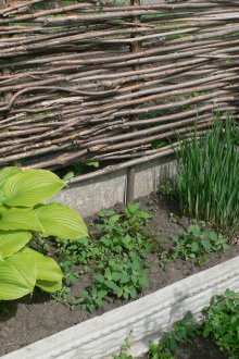Αιολικός σταθμός για τα φυτά
