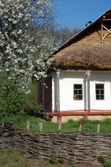 Χαμηλό ψάθινο φράχτη για καλοκαιρινή κατοικία