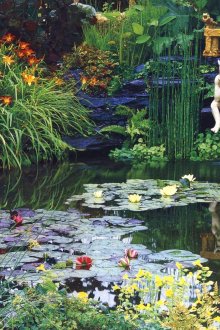 Όμορφες νεροτσουλήθρες σε μια διακοσμητική λίμνη