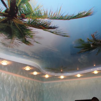 Stretch οροφή με εκτύπωση φωτογραφιών φοίνικες