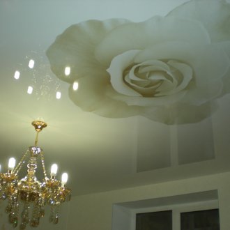 Stretch οροφή με τριαντάφυλλο εκτύπωση φωτογραφιών