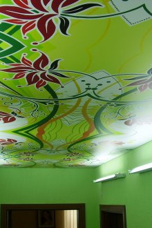 Stretch πράσινη οροφή με εκτύπωση φωτογραφιών