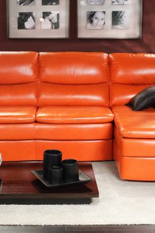 Πορτοκαλί καναπέ δελφίνι