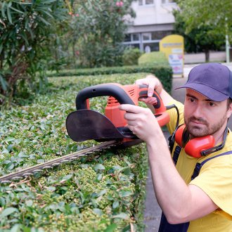 Κοπτικό πινέλο κήπου