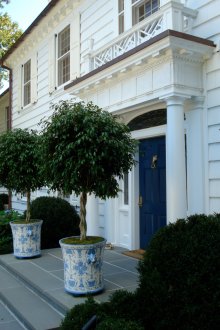 Δέντρα στη βεράντα του σπιτιού.